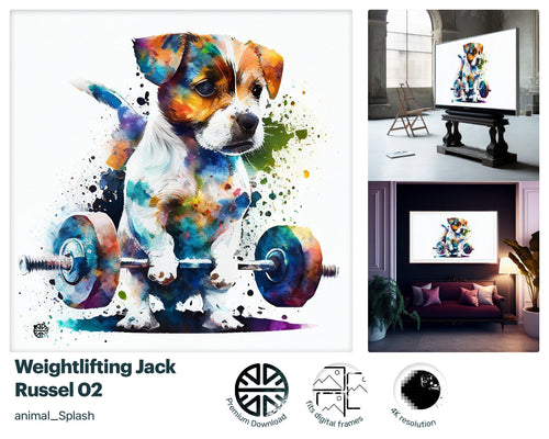 Samsung Art TV, Fitness Jack Russel, premium download, drops and splashes, friendly wallpaper, art for kids