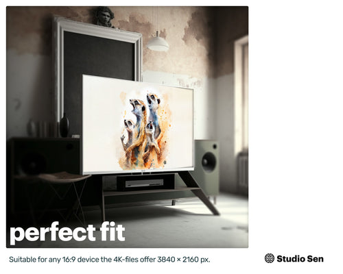 Samsung Art TV, Happy Meerkats, premium download, drops and splashes, friendly wallpaper, art for kids
