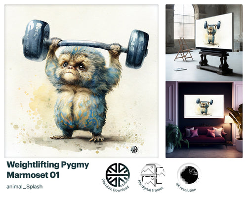 Samsung Art TV, Barbell Marmoset , premium download, drops and splashes, friendly wallpaper, art for kids