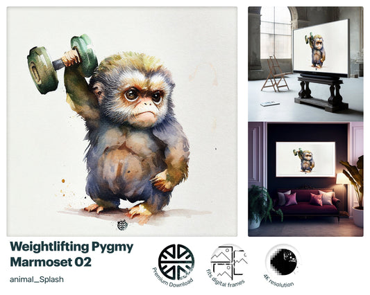 Samsung Art TV, Dumbell Marmoset, premium download, drops and splashes, friendly wallpaper, art for kids